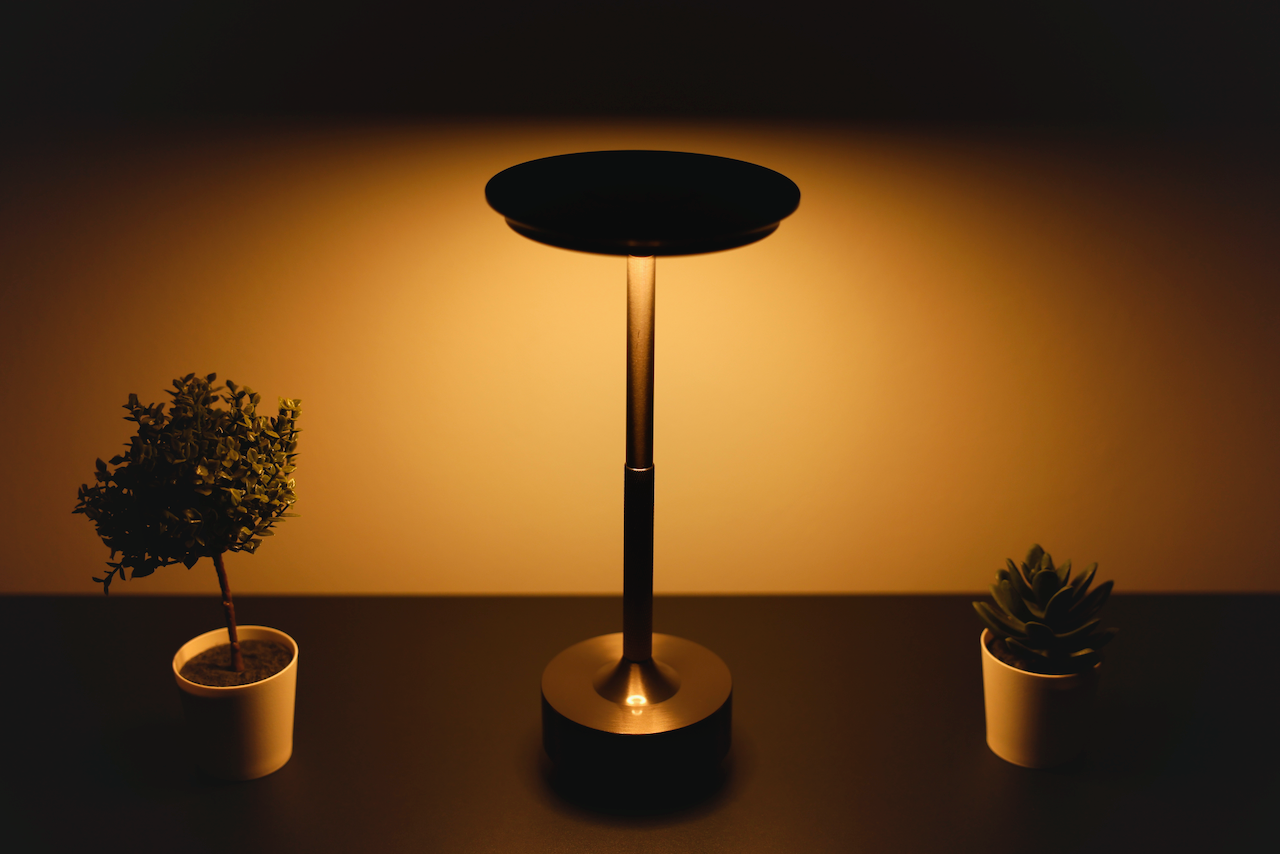 Luminoire Halo Light