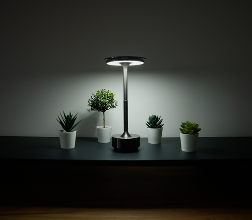 Luminoire Halo Light